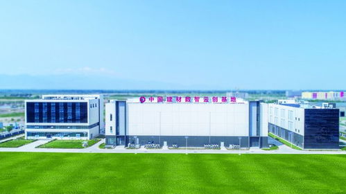 寧夏建材王玉林 以水泥產(chǎn)業(yè)鏈為支撐，推動數(shù)字化轉(zhuǎn)型升級